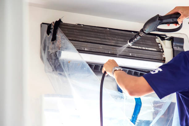 Best Air Duct Mold Removal  in Mineralwells, WV