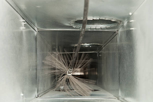 Air Duct Mold Removal in Mineralwells, WV
